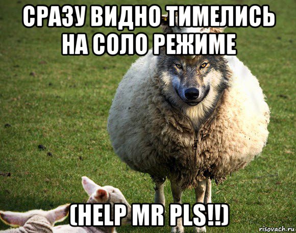 сразу видно тимелись на соло режиме (help mr pls!!)