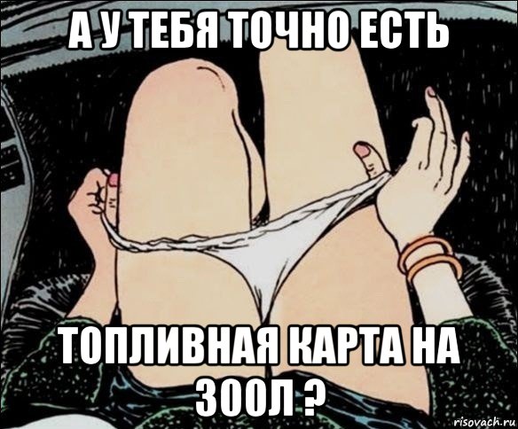 а у тебя точно есть топливная карта на 300л ?