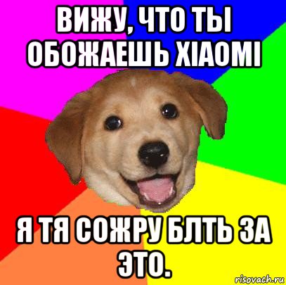 вижу, что ты обожаешь xiaomi я тя сожру блть за это., Мем Advice Dog