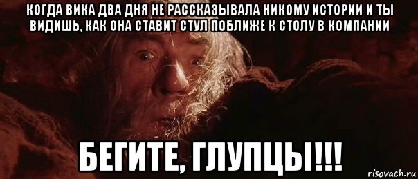 когда вика два дня не рассказывала никому истории и ты видишь, как она ставит стул поближе к столу в компании бегите, глупцы!!!, Мем бегите глупцы