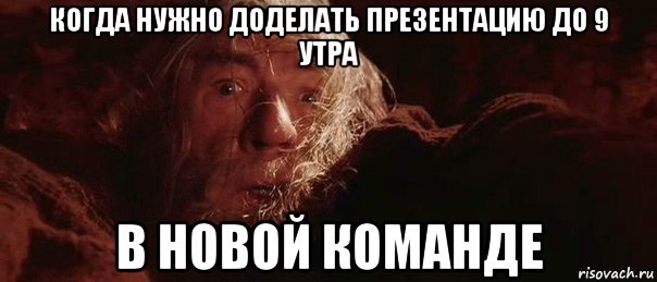 когда нужно доделать презентацию до 9 утра в новой команде, Мем бегите глупцы