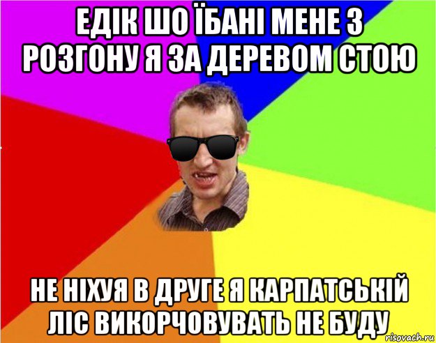 едік шо їбані мене з розгону я за деревом стою не ніхуя в друге я карпатській ліс викорчовувать не буду, Мем Чьоткий двiж