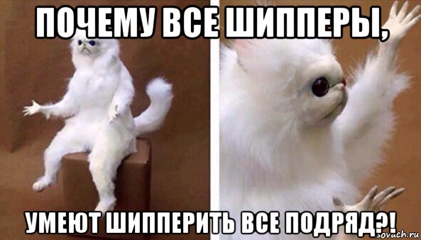 почему все шипперы, умеют шипперить все подряд?!