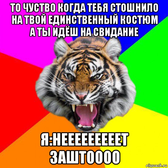 то чуство когда тебя стошнило на твой единственный костюм а ты идёш на свидание я:нееееееееет заштоооо, Мем  ДЕРЗКИЙ ТИГР