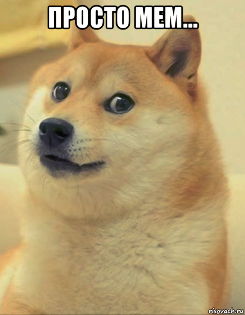 просто мем... , Мем doge woof