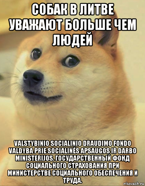 собак в литве уважают больше чем людей valstybinio socialinio draudimo fondo valdyba prie socialinės apsaugos ir darbo ministerijos. государственный фонд социального страхования при министерстве социального обеспечения и труда., Мем doge woof