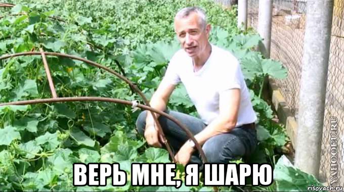  верь мне, я шарю, Мем  Доктор попов