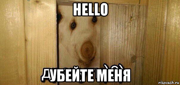 hello убейте меня, Мем  Дратути