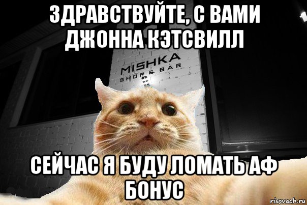 здравствуйте, с вами джонна кэтсвилл сейчас я буду ломать аф бонус