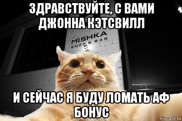 здравствуйте, с вами джонна кэтсвилл и сейчас я буду ломать аф бонус, Мем   Джонни Кэтсвилл