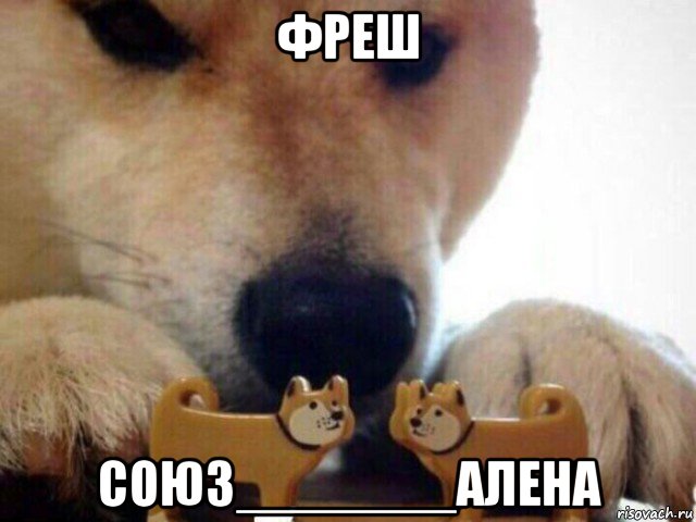 фреш союз_______алена, Мем А теперь целуйтесь