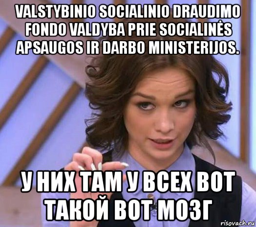 valstybinio socialinio draudimo fondo valdyba prie socialinės apsaugos ir darbo ministerijos. у них там у всех вот такой вот мозг, Мем Шурыгина показывает на донышке