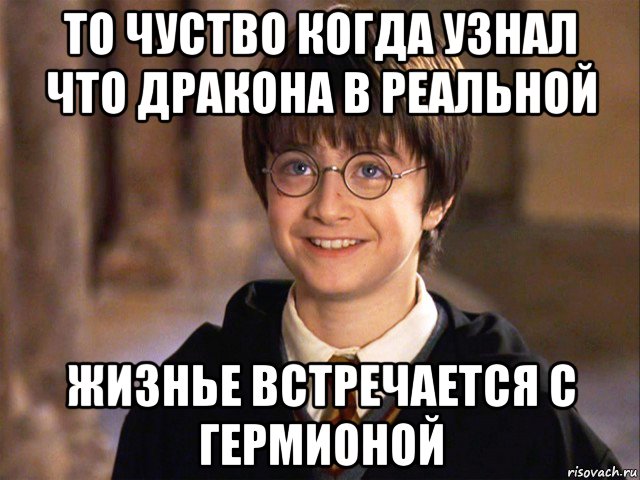 то чуство когда узнал что дракона в реальной жизнье встречается с гермионой, Мем Гарри Поттер