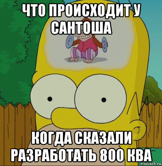 что происходит у сантоша когда сказали разработать 800 ква, Мем  Гомер Симпсон