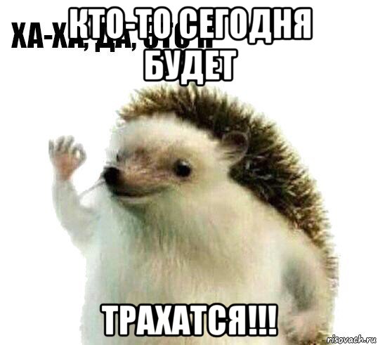 кто-то сегодня будет трахатся!!!, Мем Ха-ха да это я