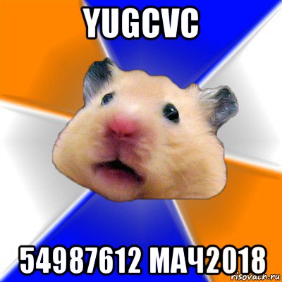 yugcvc 54987612 мач2018, Мем Хомяк