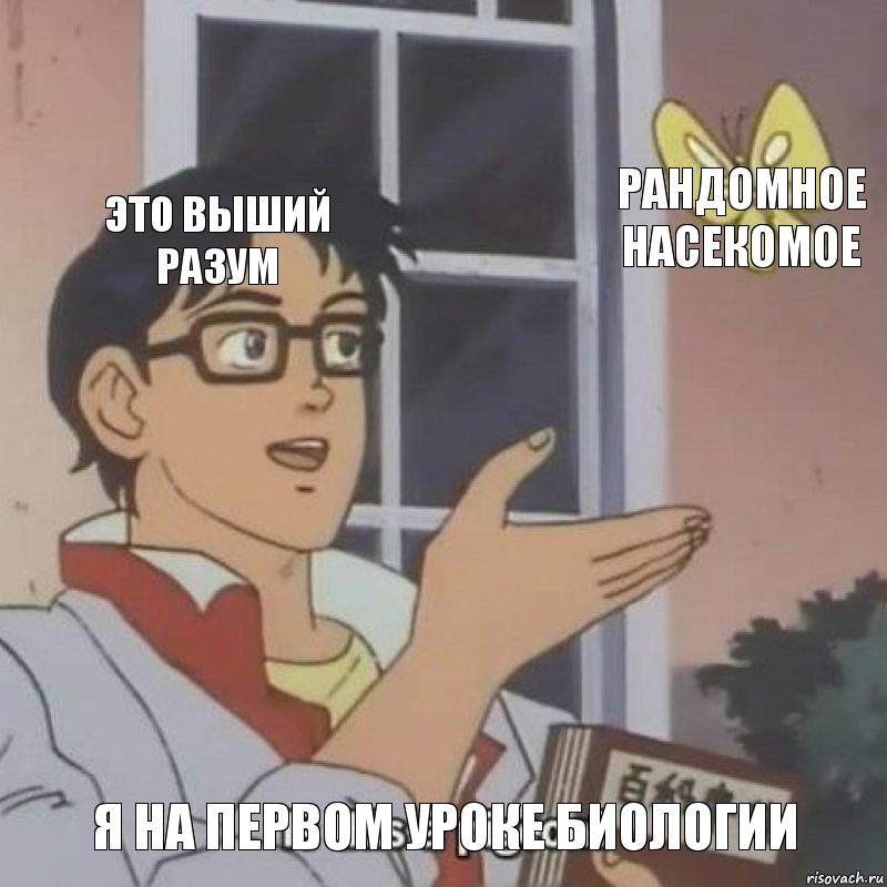 Это выший разум Рандомное насекомое Я на первом уроке биологии