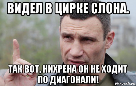 видел в цирке слона. так вот, нихрена он не ходит по диагонали!, Мем Кличко говорит