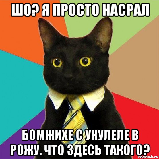 шо? я просто насрал бомжихе с укулеле в рожу. что здесь такого?, Мем  Кошечка