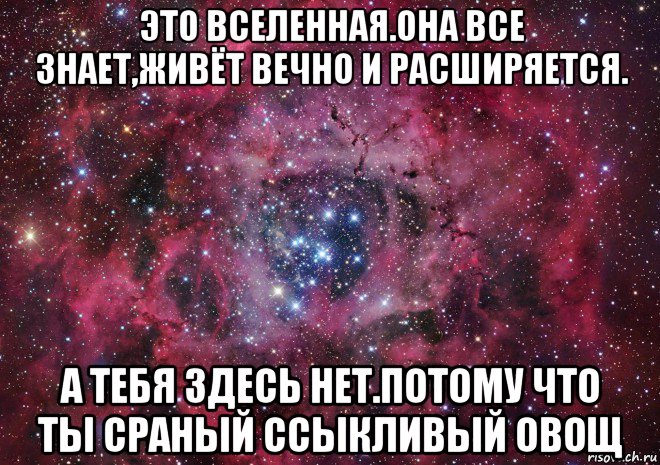 это вселенная.она все знает,живёт вечно и расширяется. а тебя здесь нет.потому что ты сраный ссыкливый овощ, Мем Ты просто космос