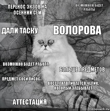 перенос экзов на осенний сем больше предметов волорова аттестация возможно будет работа возможно не будет работы восстанавливается челик, который заёбывает дали таску предмет соси писос , Комикс  кот безысходность