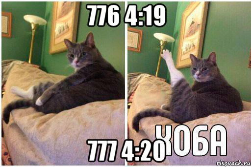 776 4:19 777 4:20, Комикс Кот Хоба