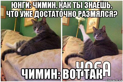 юнги: чимин, как ты знаешь, что уже достаточно размялся? чимин: вот так, Комикс Кот Хоба