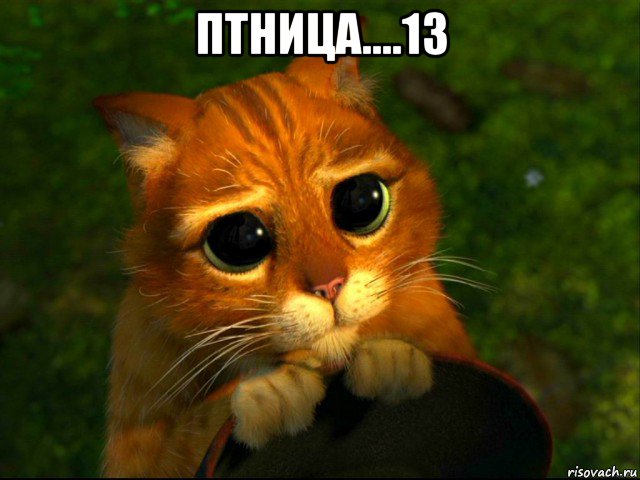 птница....13 