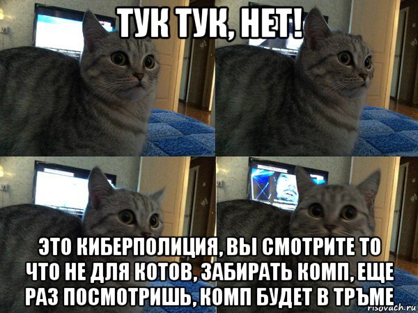 тук тук, нет! это киберполиция, вы смотрите то что не для котов, забирать комп, еще раз посмотришь, комп будет в тръме, Мем  Кот в шоке