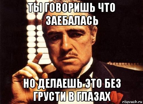 ты говоришь что заебалась но делаешь это без грусти в глазах, Мем крестный отец