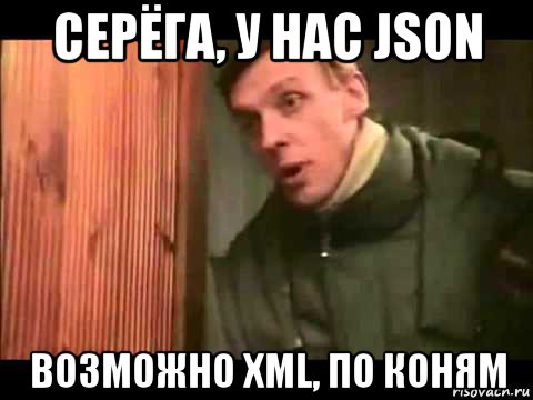 серёга, у нас json возможно xml, по коням, Мем Ларин по коням