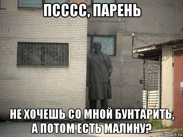 псссс, парень не хочешь со мной бунтарить, а потом есть малину?, Мем  Ленин за углом (пс, парень)