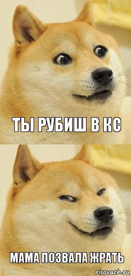 ты рубиш в кс мама позвала жрать, Комикс   DOGE довольный