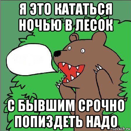 я это кататься ночью в лесок с бывшим срочно попиздеть надо, Мем Медведь-шлюха