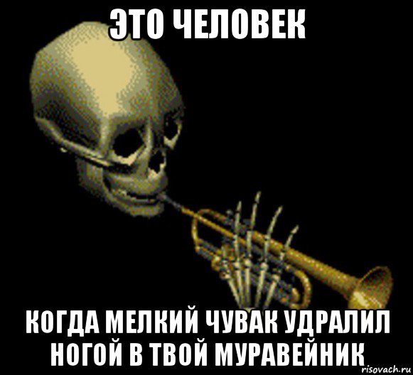 это человек когда мелкий чувак удралил ногой в твой муравейник, Мем Мистер дудец