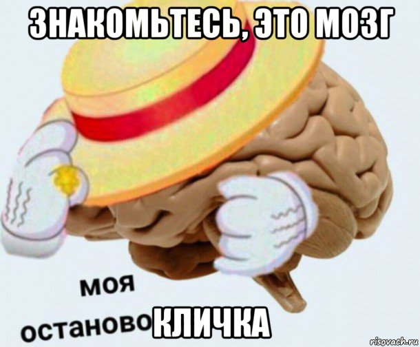 знакомьтесь, это мозг кличка, Мем   Моя остановочка мозг