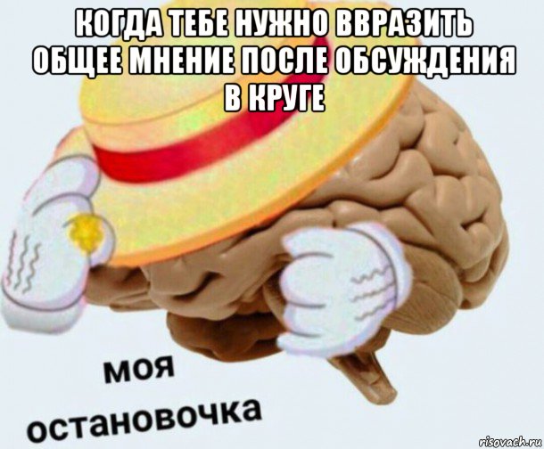 когда тебе нужно ввразить общее мнение после обсуждения в круге , Мем   Моя остановочка мозг