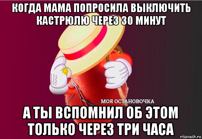 когда мама попросила выключить кастрюлю через 30 минут а ты вспомнил об этом только через три часа, Мем   Моя остановочка