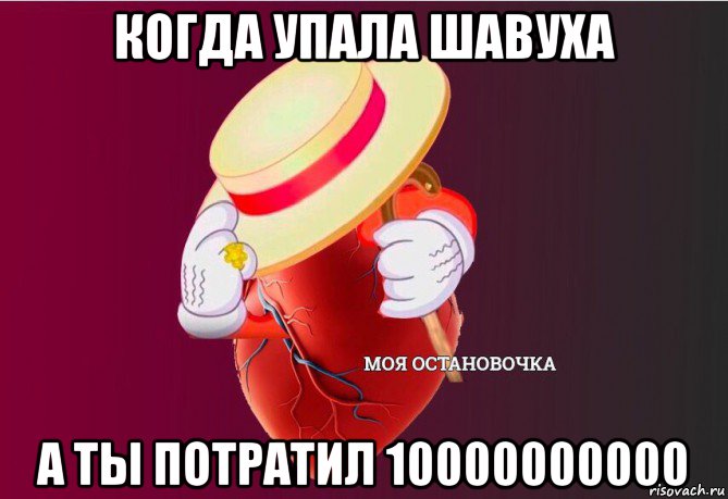 когда упала шавуха а ты потратил 10000000000, Мем   Моя остановочка