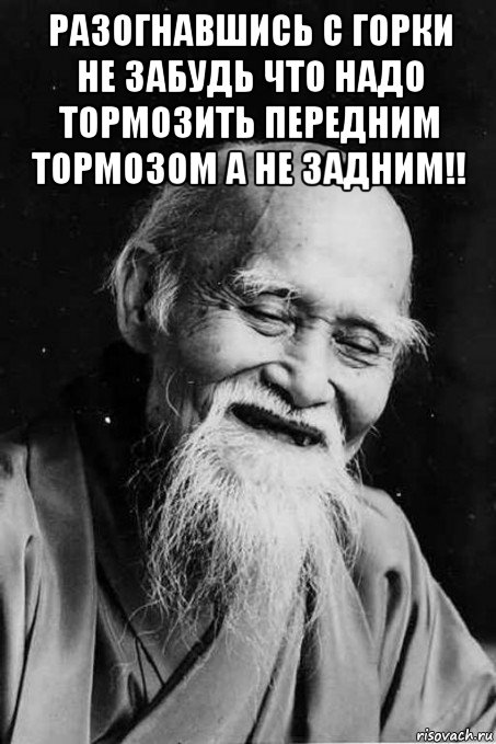 разогнавшись с горки не забудь что надо тормозить передним тормозом а не задним!! , Мем мудрец улыбается