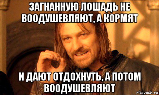 загнанную лошадь не воодушевляют, а кормят и дают отдохнуть, а потом воодушевляют, Мем Нельзя просто так взять и (Боромир мем)