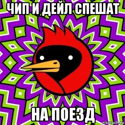 чип и дейл спешат на поезд, Мем Омская птица