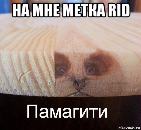 на мне метка rid , Мем   Памагити