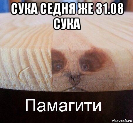 сука седня же 31.08 сука , Мем   Памагити