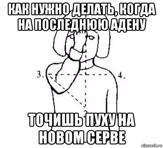 как нужно делать, когда на последнюю адену точишь пуху на новом серве, Мем  Перекреститься