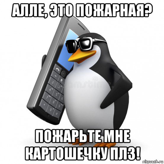 алле, это пожарная? пожарьте мне картошечку плз!