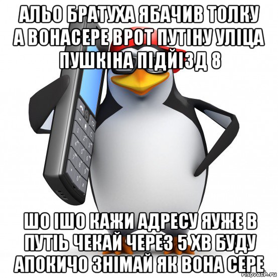 альо братуха ябачив толку а вонасере врот путіну уліца пушкіна підйізд 8 шо ішо кажи адресу яуже в путіь чекай через 5 хв буду апокичо знімай як вона сере, Мем   Пингвин звонит