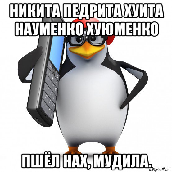 никита педрита хуита науменко хуюменко пшёл нах, мудила., Мем   Пингвин звонит