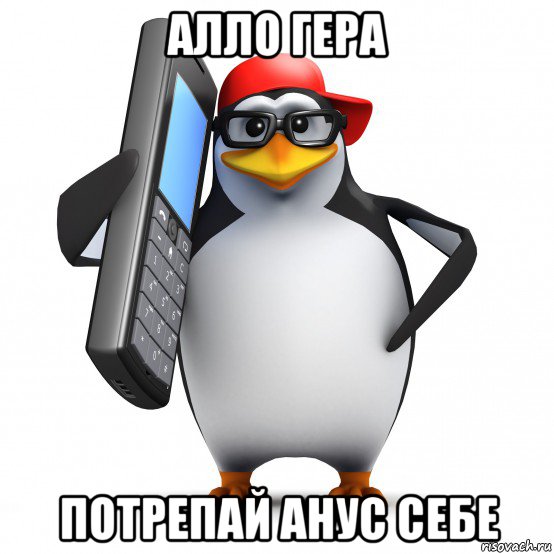 алло гера потрепай анус себе, Мем   Пингвин звонит