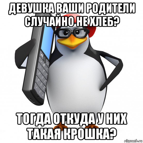 девушка ваши родители случайно не хлеб? тогда откуда у них такая крошка?, Мем   Пингвин звонит